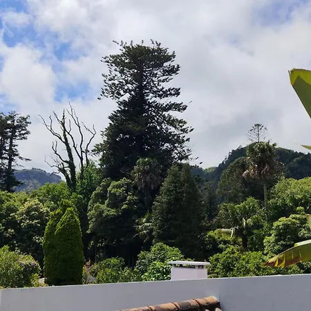 Victoria Konukevi 3*